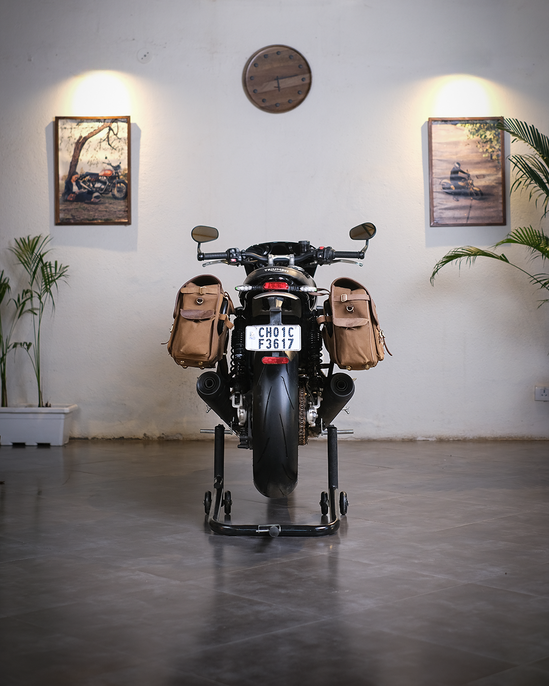 Motorcycle with saddlebags on a stand in a room with plants and framed pictures on the wall.