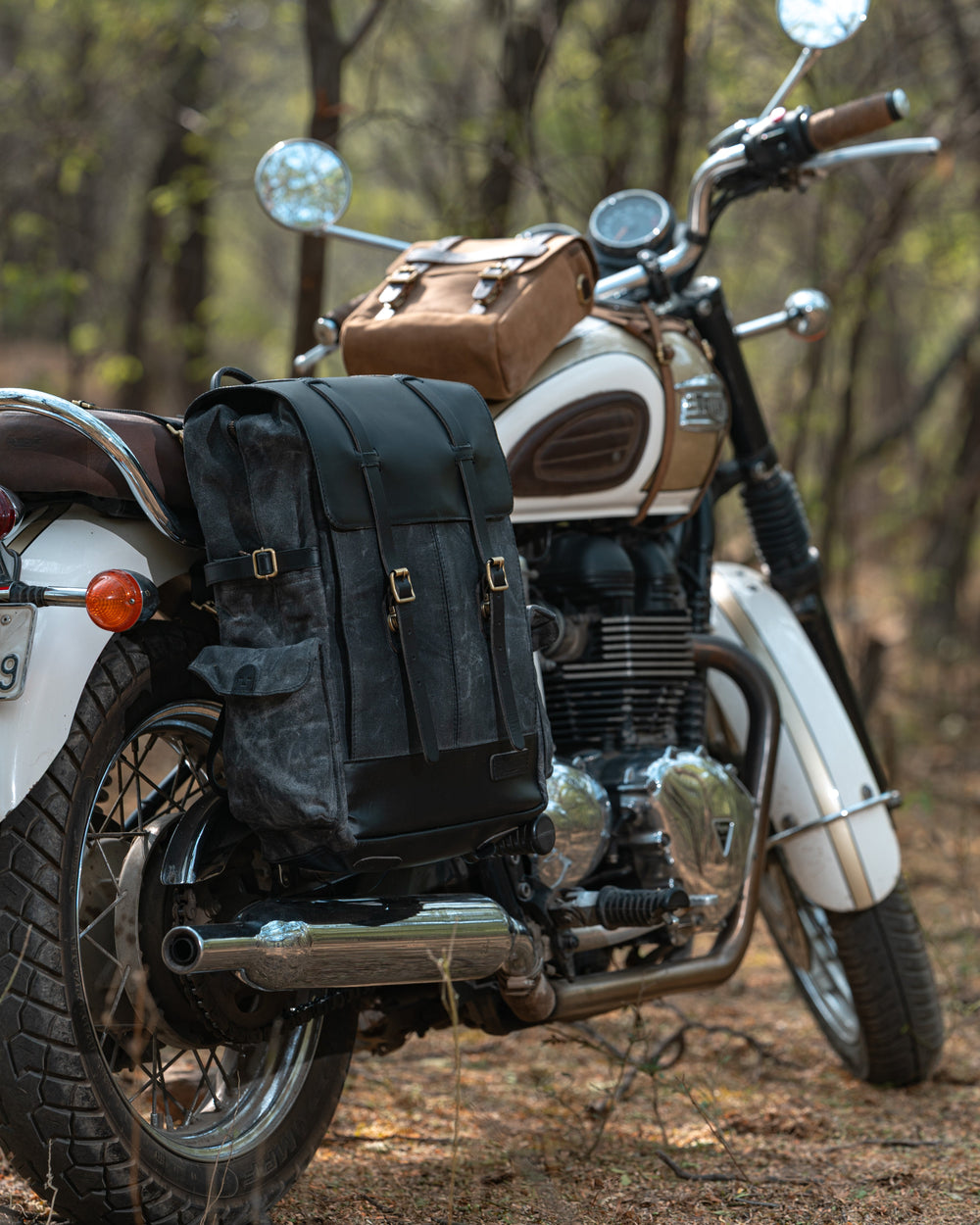 rambler backpack pannier